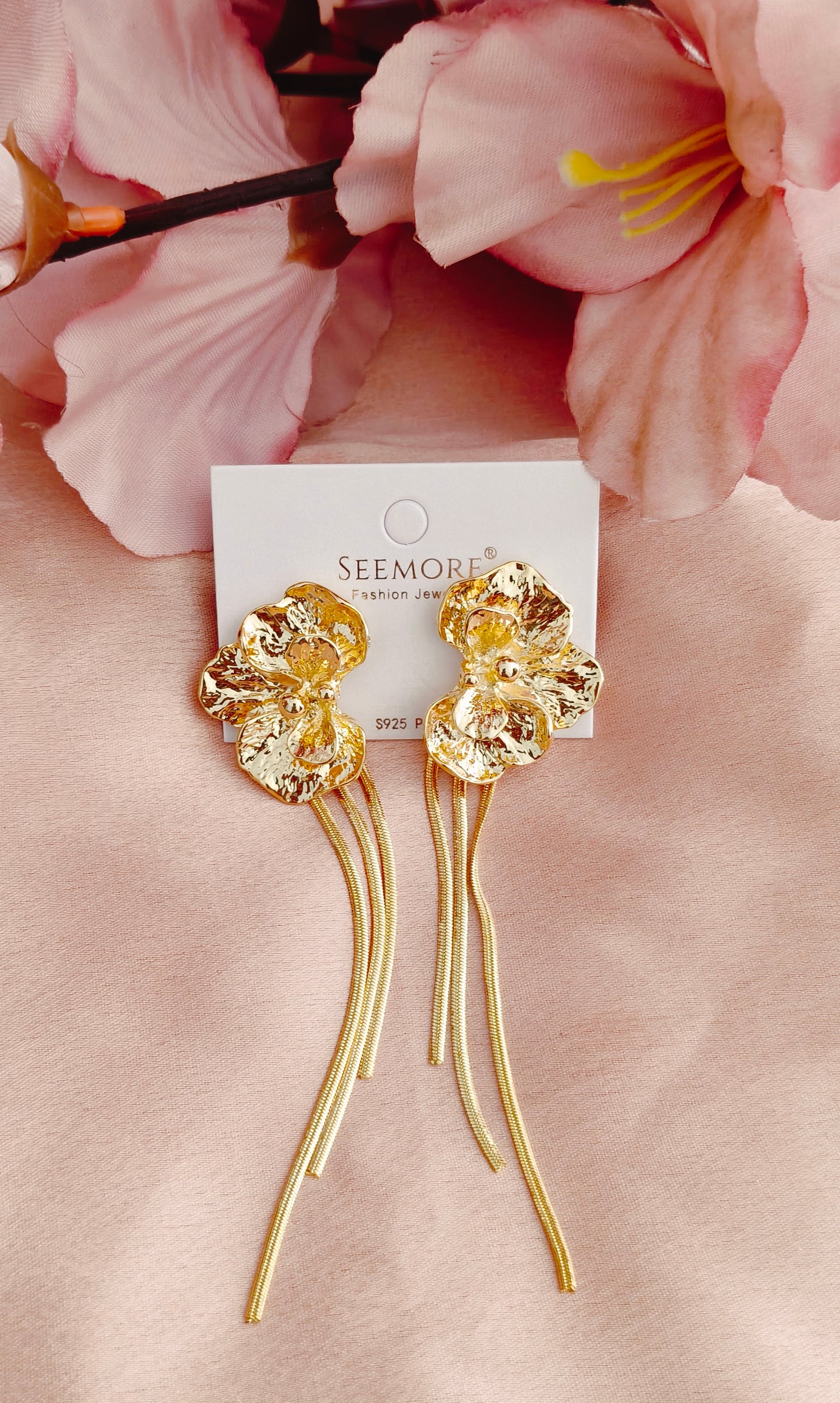 Western Earrings