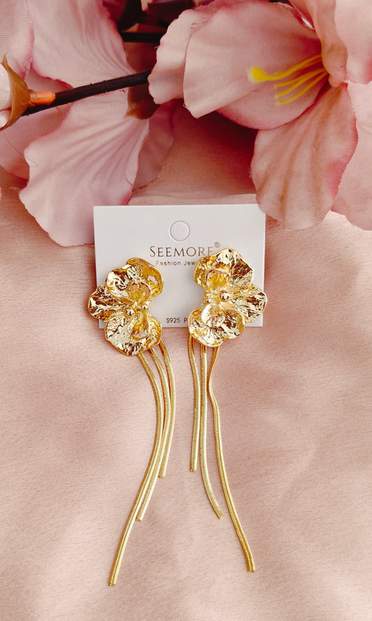 Western Earrings