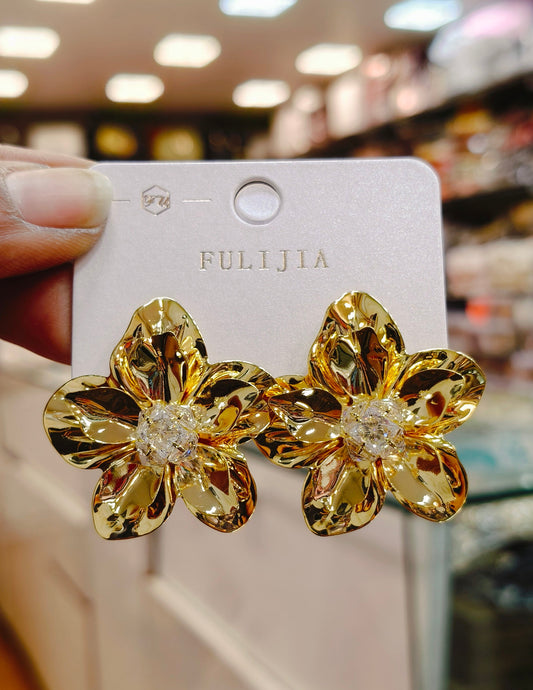 Western Earrings