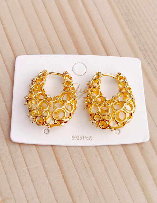 Western Earrings